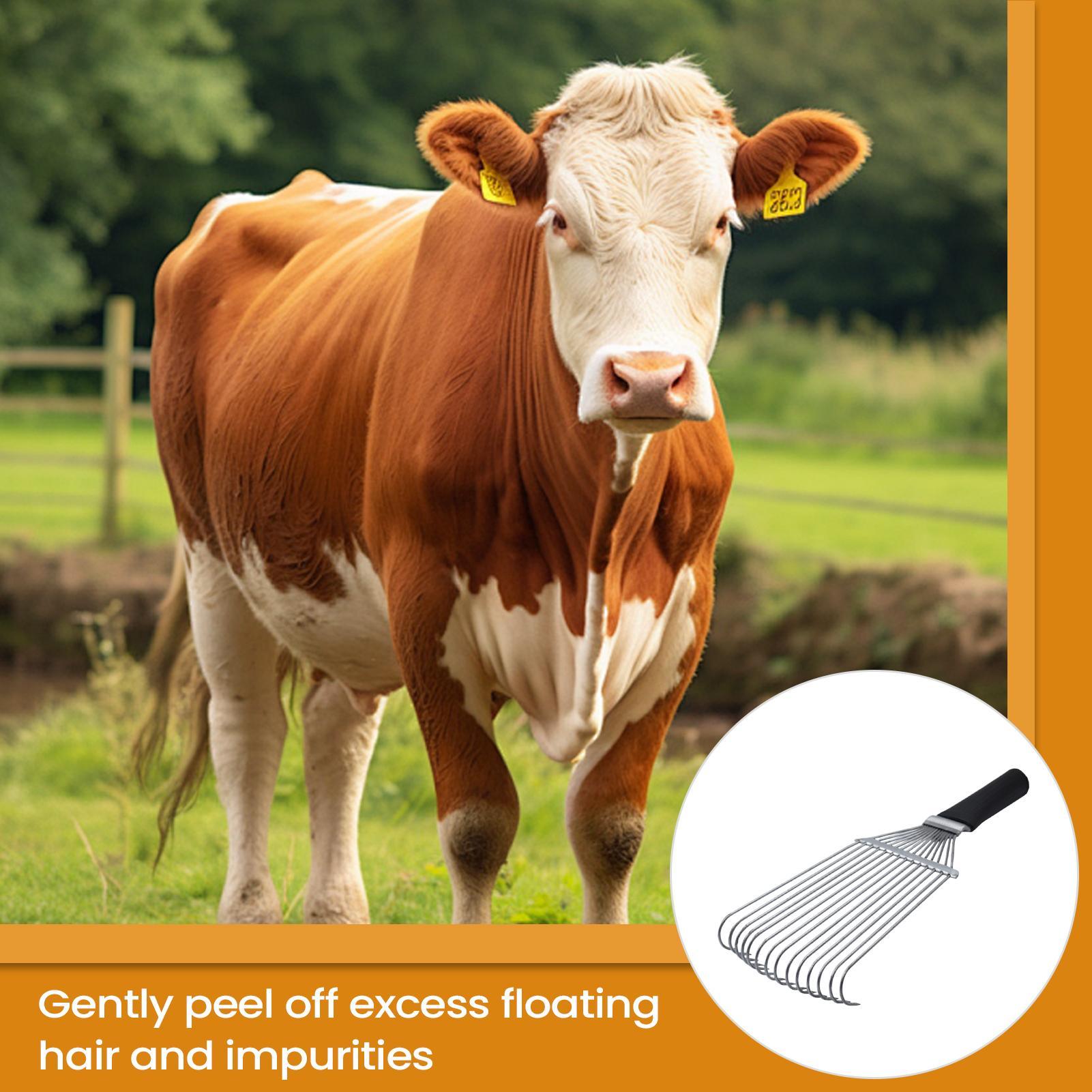 Pet Grooming - Paardenverzorging Hark Verliesborstel Ondervachthark Ergonomisch Staal
