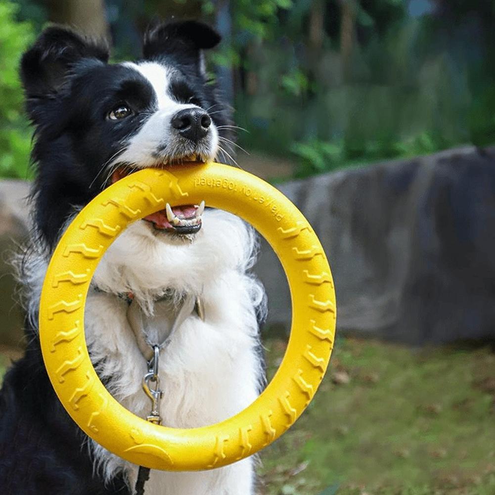 Indestructible Dog Chew Toy - Hondenring Speelgoed Onverwoestbaar Kauw-, Vlieg- en