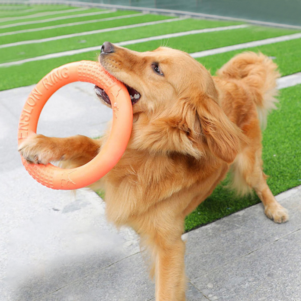 1 Stuk Oranje Hond Speelgoed H - Snuffle Mat For Dogs recensie en prijs