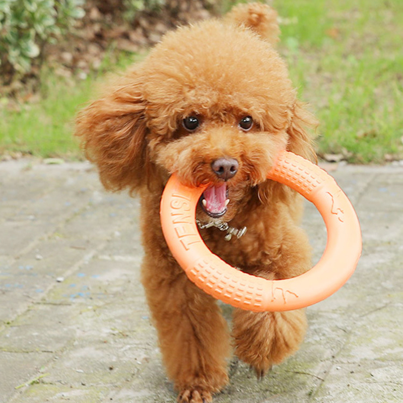 1 Stuk Oranje Hond Speelgoed H - Snuffle Mat For Dogs recensie en prijs