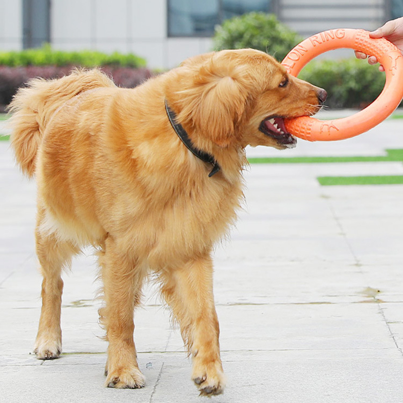 1 Stuk Oranje Hond Speelgoed H - Snuffle Mat For Dogs recensie en prijs