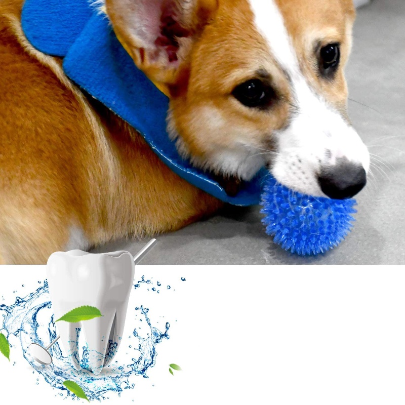 Speelgoedbal voor huisdieren v - Indestructible Dog Chew Toy recensie en prijs