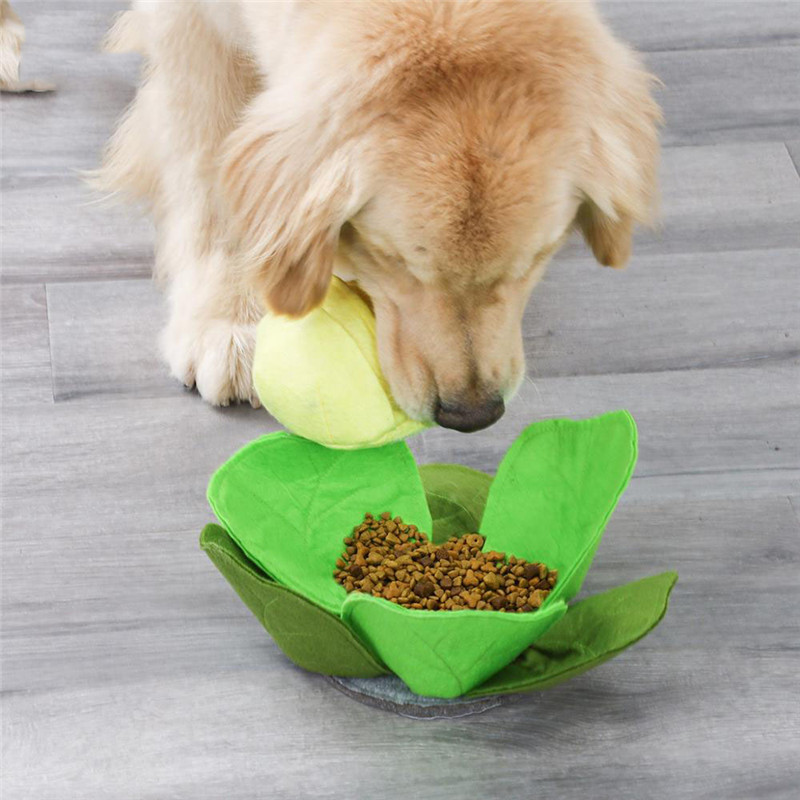 Hond Snuffle Mat Huisdier Snui - Snuffle Mat For Dogs recensie en prijs