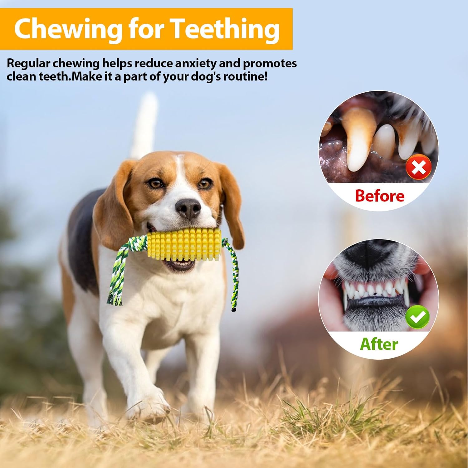 Maïsvormig kauwspeeltje voor h - Dog Rope Toy Aggressive Chewers recensie en prijs