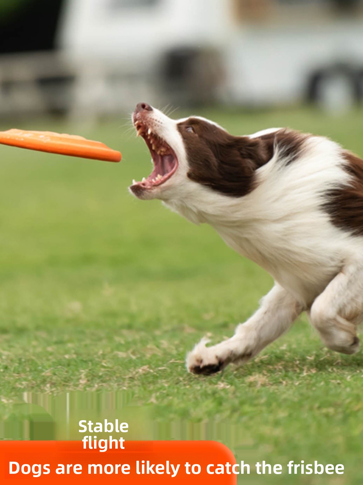 Hondenvliegschijf Zacht Duurza - Flying Disc Dog Training Toy recensie en prijs