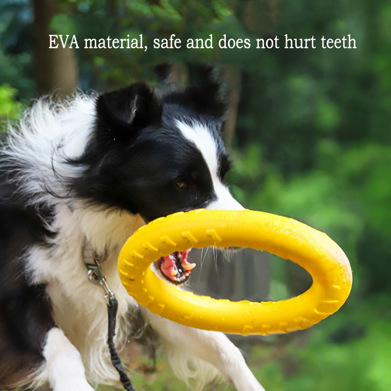 EVA Duurzaam hondenspeelgoed 4 - Snuffle Mat For Dogs recensie en prijs