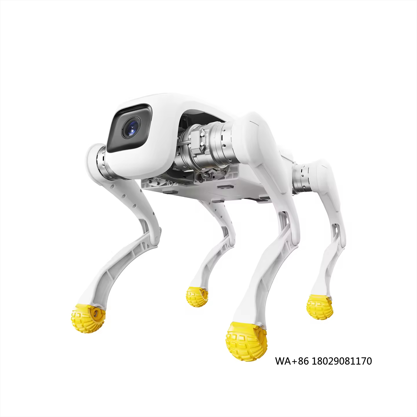 Ontwerp Hond Robot AI Elektron - Dog Toys recensie en prijs