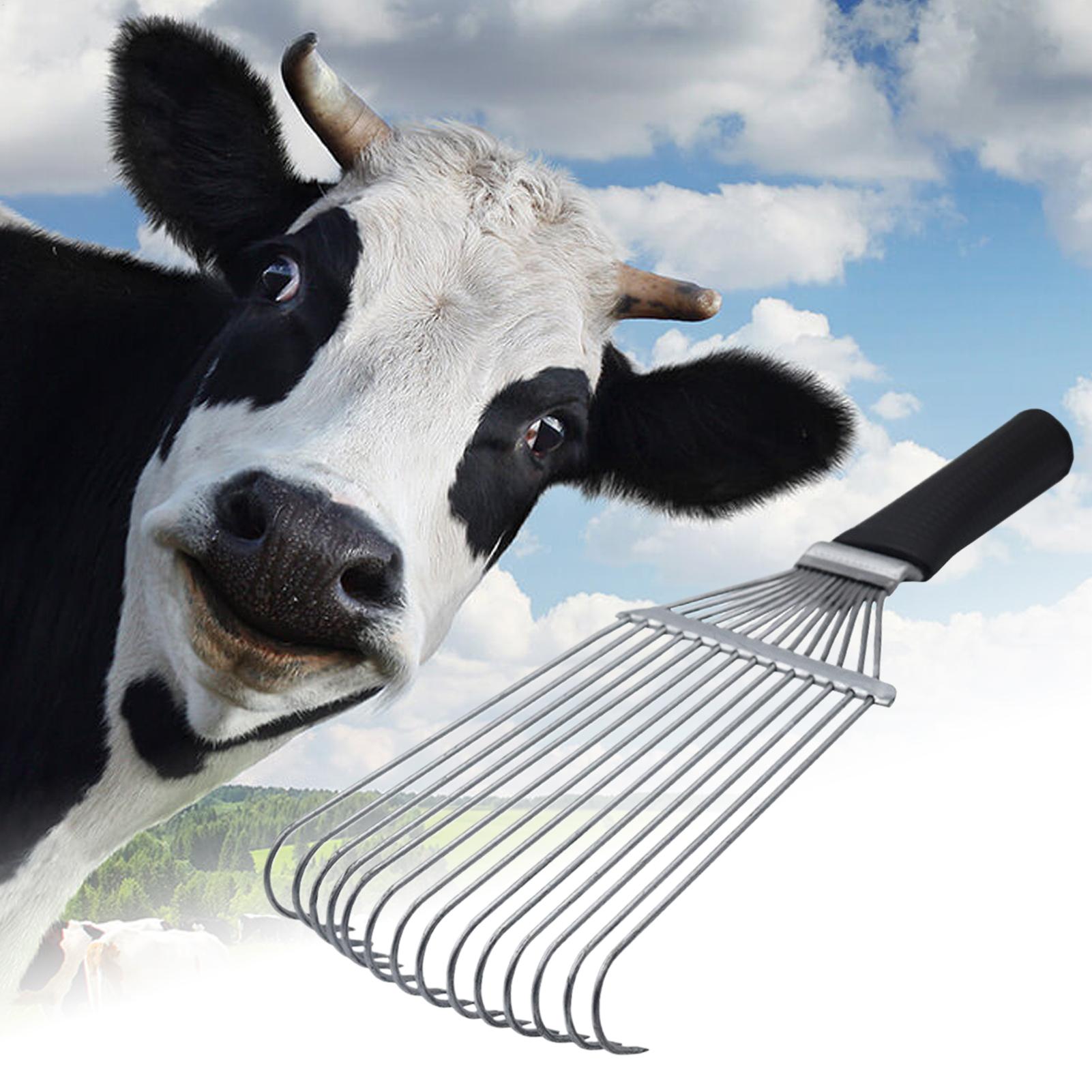Ondervacht Verzorgingshark Ond - Pet Grooming recensie en prijs