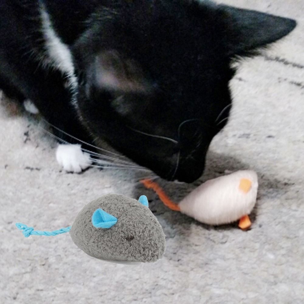 2 stuks grappige pluche zachte - Catnip Interactive Plush Mouse recensie en prijs