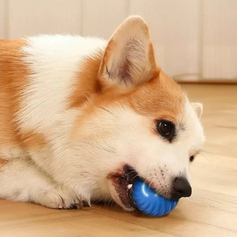Automatische bewegende, stuite - Automatic Moving Dog Ball recensie en prijs