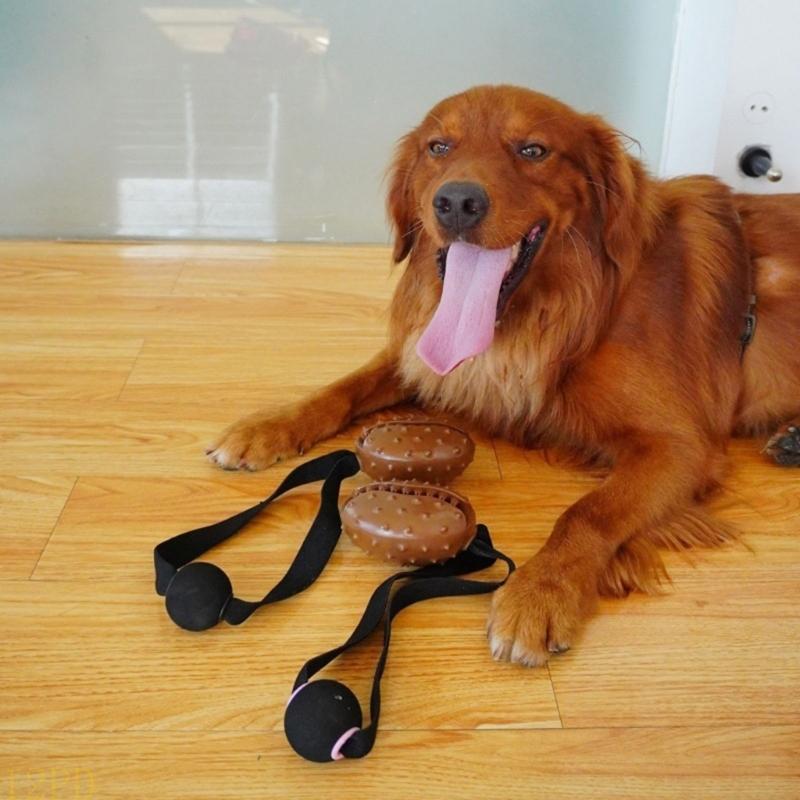 12PD Touw Koffieboon Hond Kauw - Dog Rope Toy Aggressive Chewers recensie en prijs