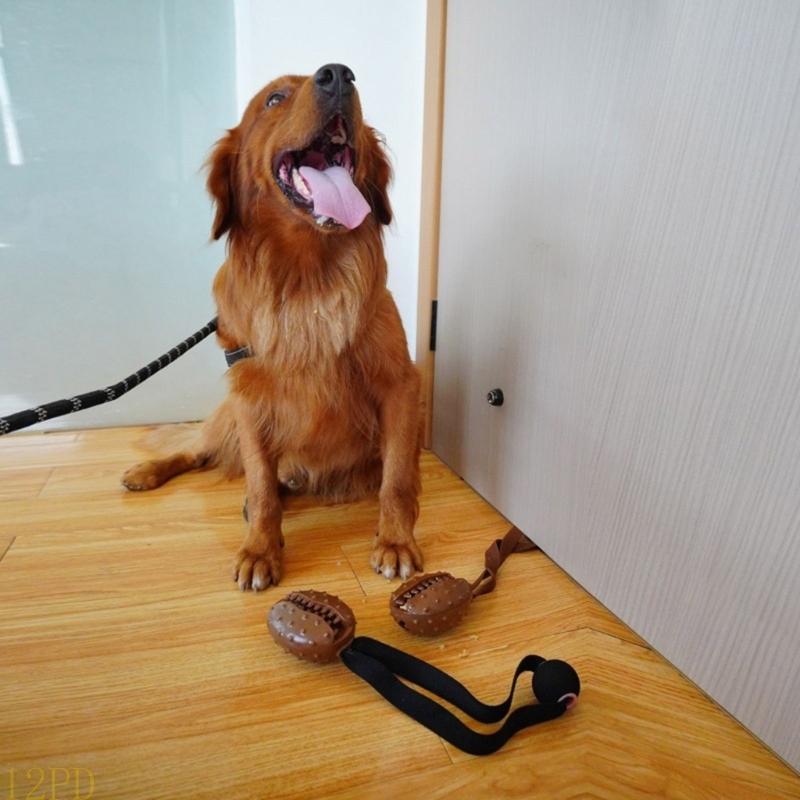 12PD Touw Koffieboon Hond Kauw - Dog Rope Toy Aggressive Chewers recensie en prijs