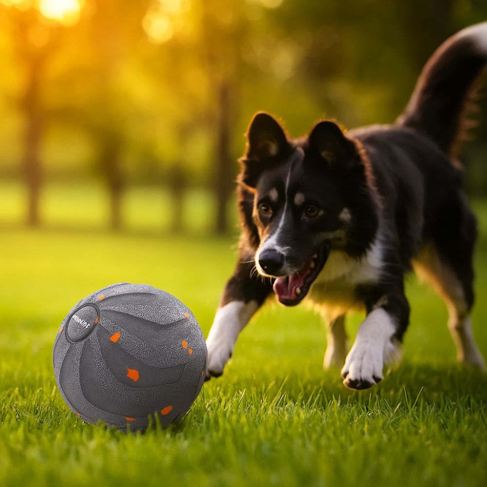 Bijtbestendig Smart Dog Toy Ba - Automatic Moving Dog Ball recensie en prijs