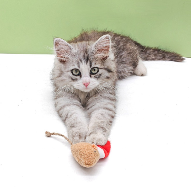 5 stks Kat Push Kauwspeeltje K - Catnip Interactive Plush Mouse recensie en prijs