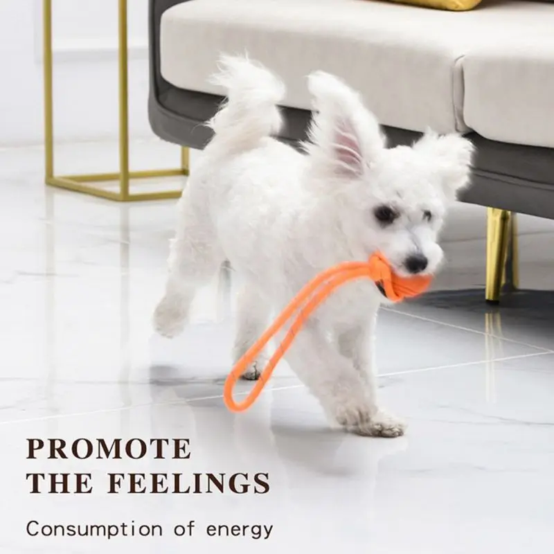 Honden Trainingsbal Op Touw Ka - Indestructible Dog Chew Toy recensie en prijs
