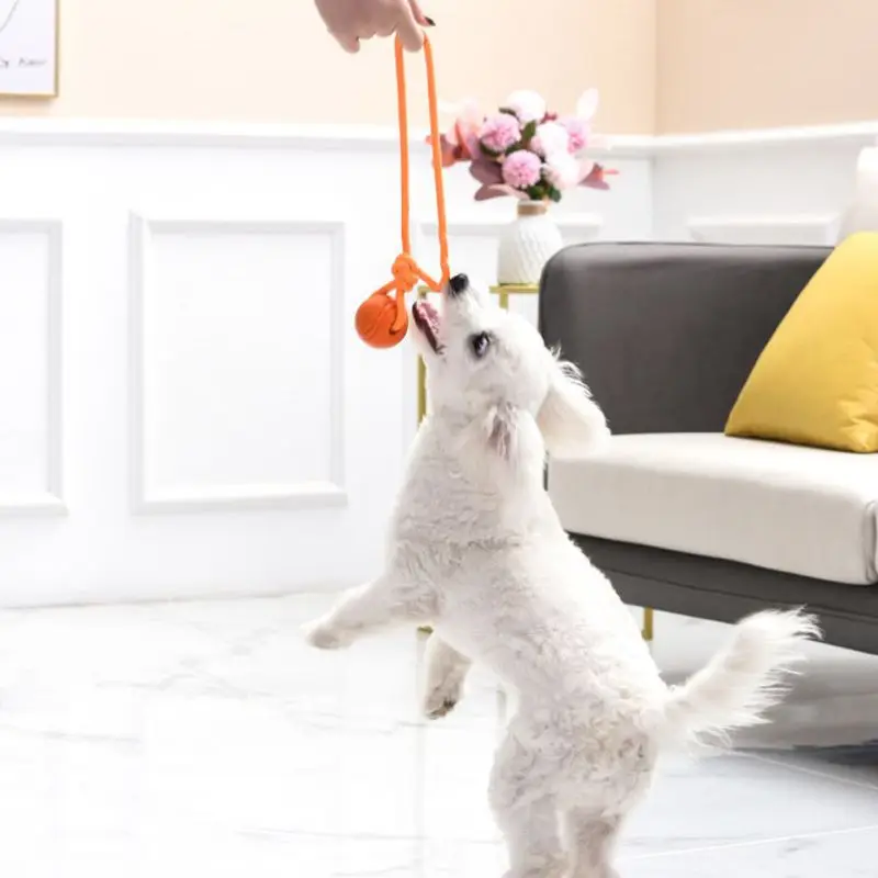 Honden Trainingsbal Op Touw Ka - Indestructible Dog Chew Toy recensie en prijs