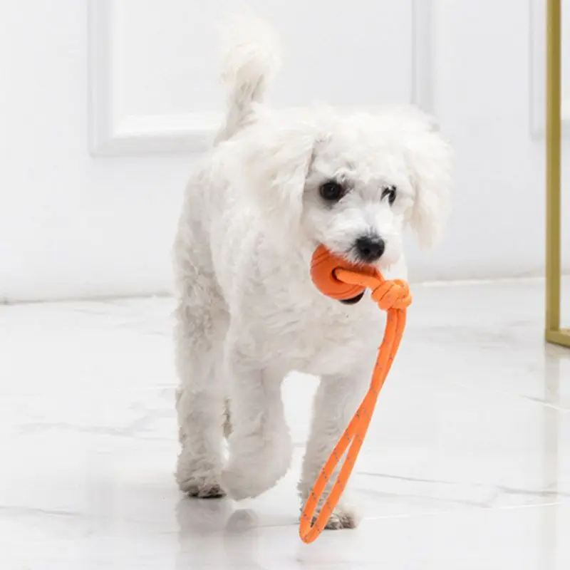 Honden Trainingsbal Op Touw Ka - Indestructible Dog Chew Toy recensie en prijs