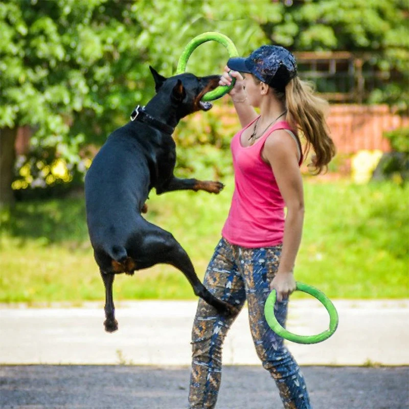 Honden Speelgoed Huisdier Vlie - Indestructible Dog Chew Toy recensie en prijs