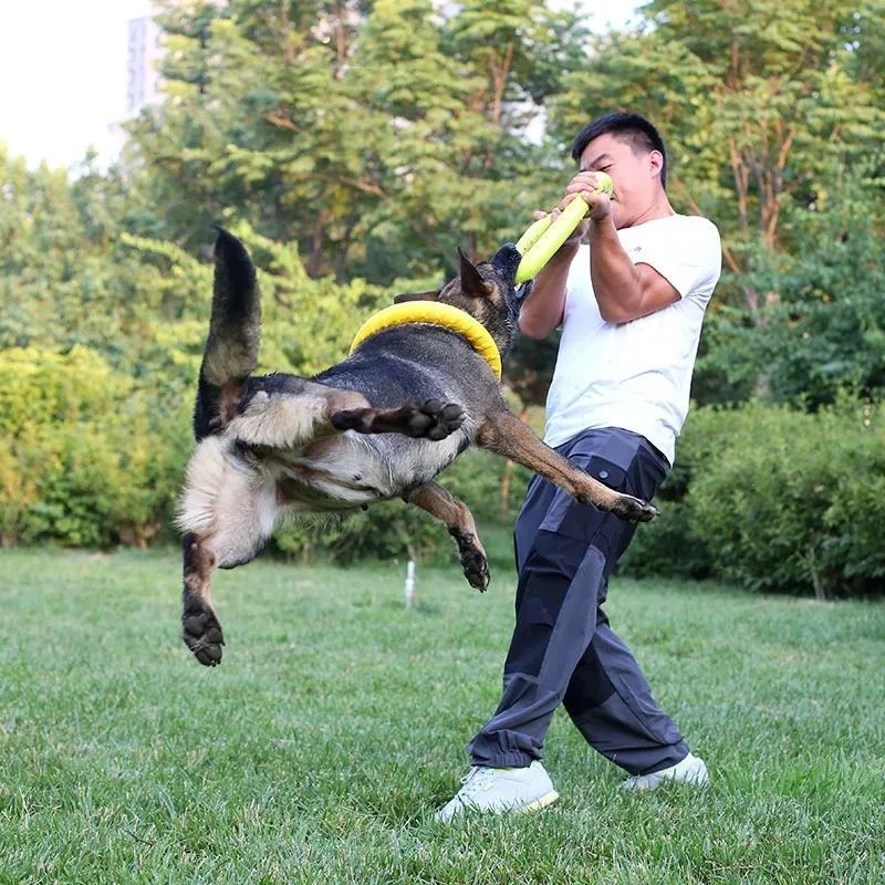 Honden Speelgoed Huisdier Vlie - Indestructible Dog Chew Toy recensie en prijs