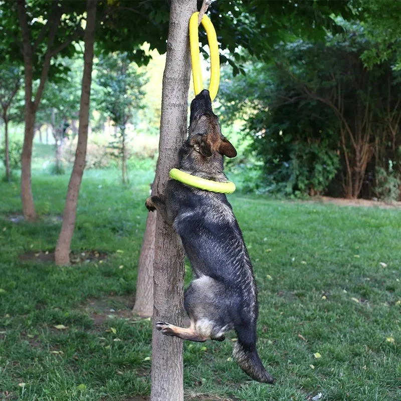 Honden Speelgoed Huisdier Vlie - Indestructible Dog Chew Toy recensie en prijs