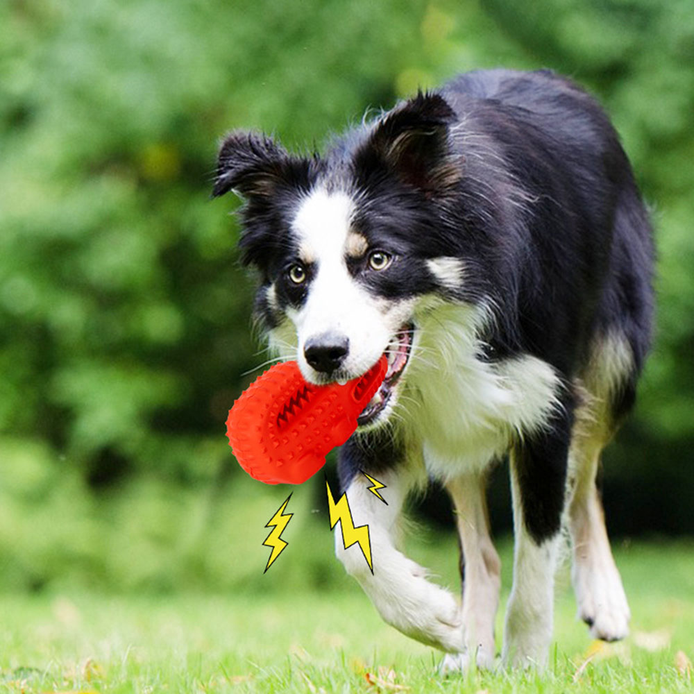 Kauwspeeltje voor honden Rubbe - Teeth Cleaning Dog Chew Bone recensie en prijs