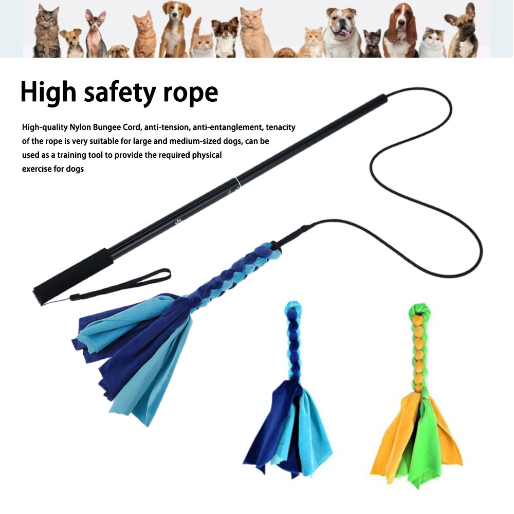 Intrekbare Hond Stok Interacti - Indestructible Dog Chew Toy recensie en prijs