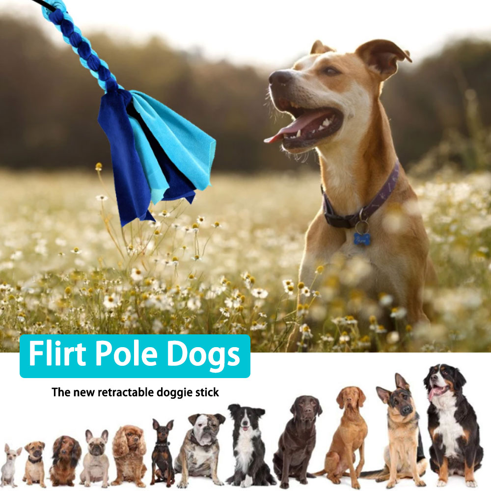 Intrekbare Hond Stok Interacti - Indestructible Dog Chew Toy recensie en prijs