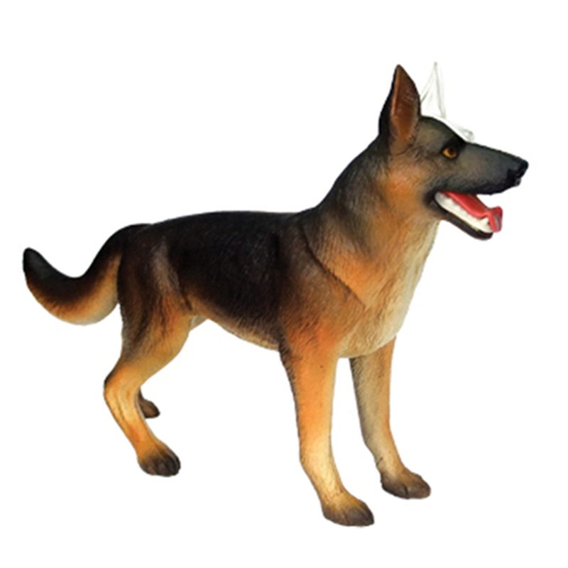 Anatomisch model van dierlijke - Dog Toys recensie en prijs