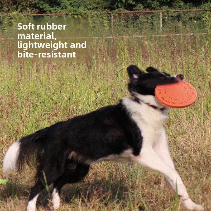 Bijtbestendige drijvende zacht - Flying Disc Dog Training Toy recensie en prijs