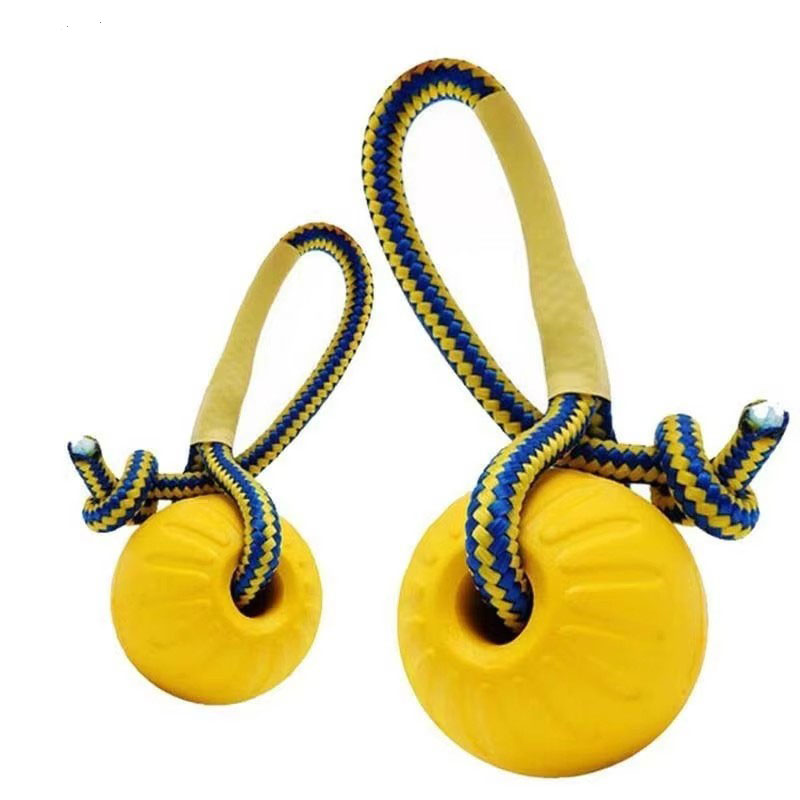1 stuk onverwoestbare bijt- en - Indestructible Dog Chew Toy recensie en prijs