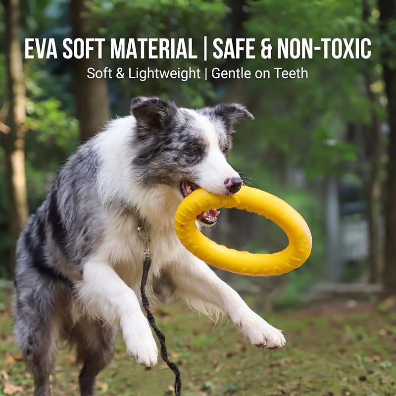 Hondenspeelgoed, vliegende sch - Flying Disc Dog Training Toy recensie en prijs