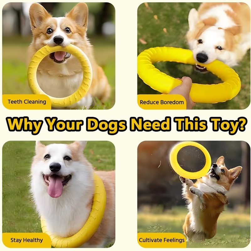 Hondenspeelgoed, vliegende sch - Flying Disc Dog Training Toy recensie en prijs