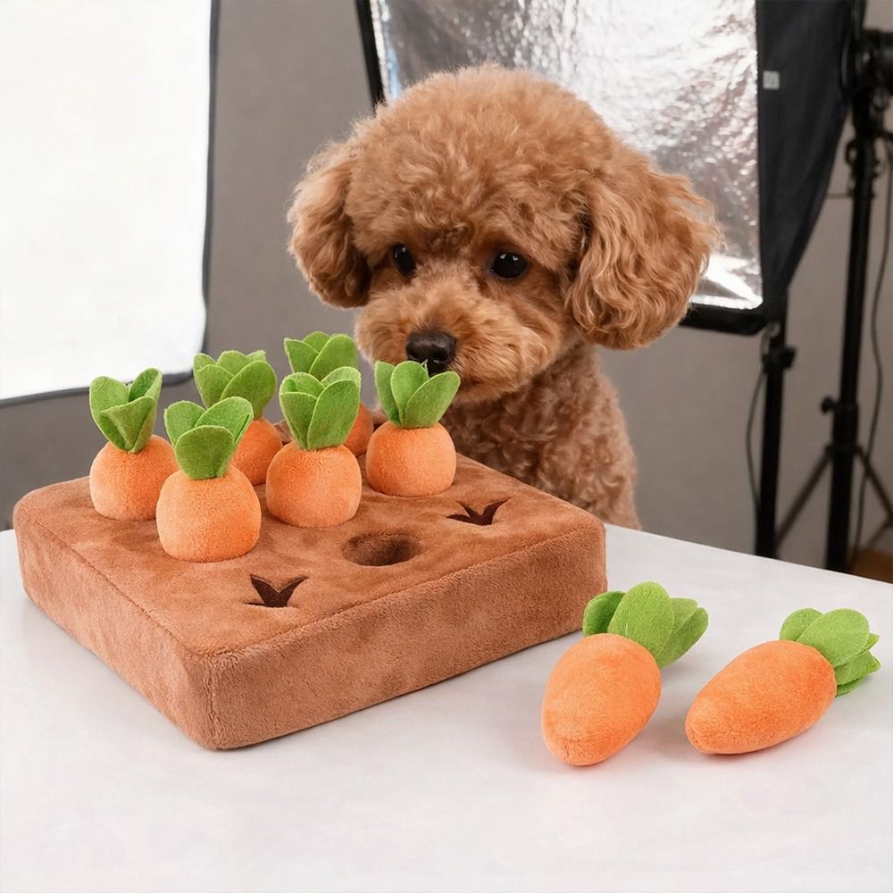 Stressverlichting Wortel-snuff - Snuffle Mat For Dogs recensie en prijs