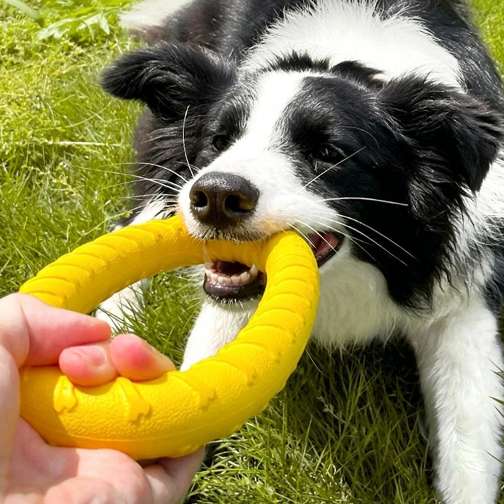 Hondenring Speelgoed Onverwoes - Indestructible Dog Chew Toy recensie en prijs