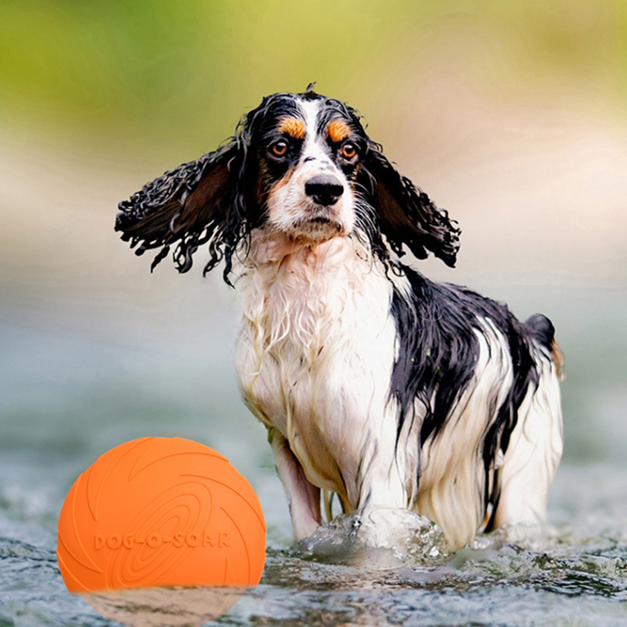 Grote Hond Gouden Vacht Huisdi - Flying Disc Dog Training Toy recensie en prijs